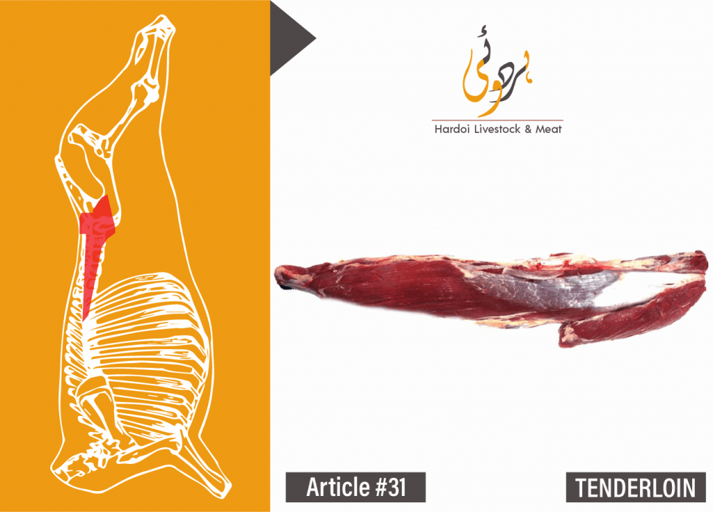 Article #31